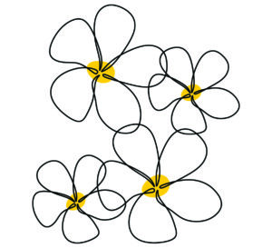 Jasmin