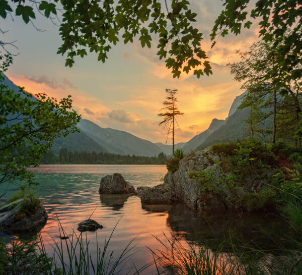 String Concerto (for windband and string quartet)