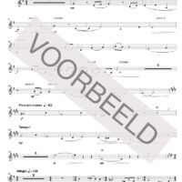 Longing for my homeland (Violin)