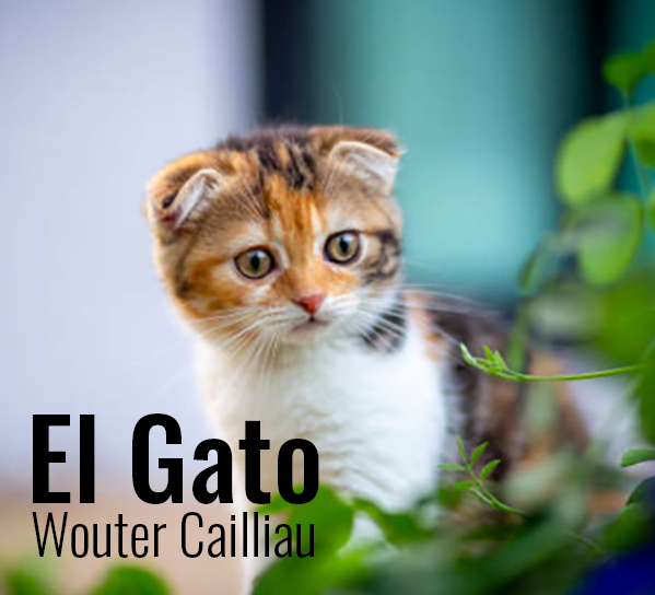 El Gato